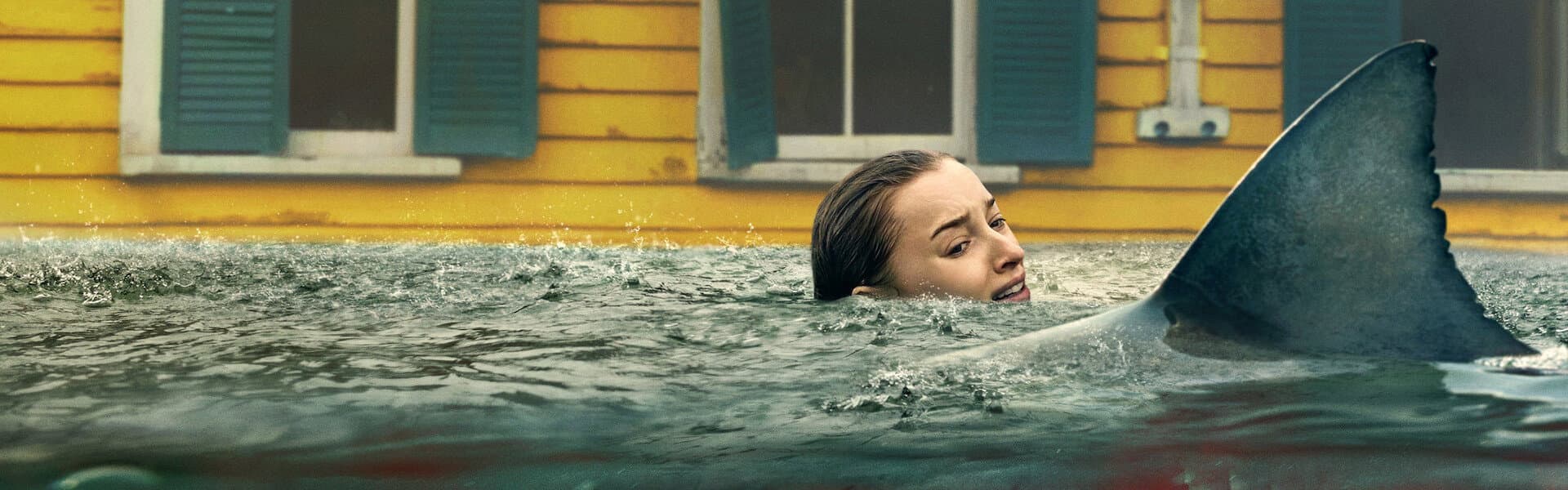 image of Ani Saldırı