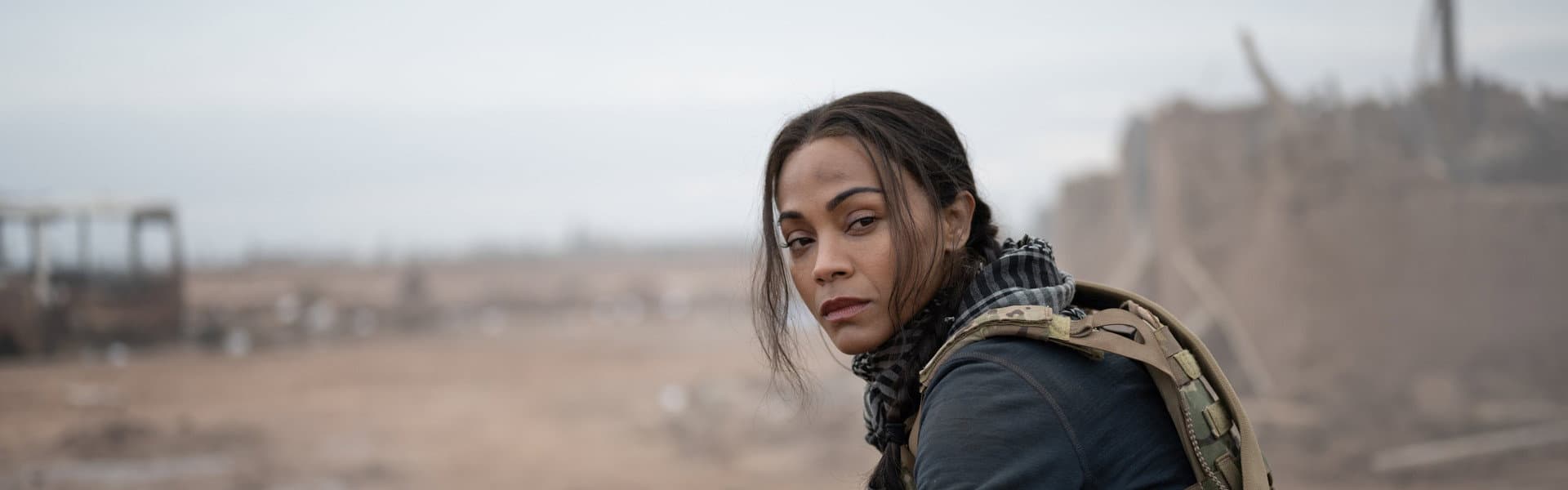image of Lioness