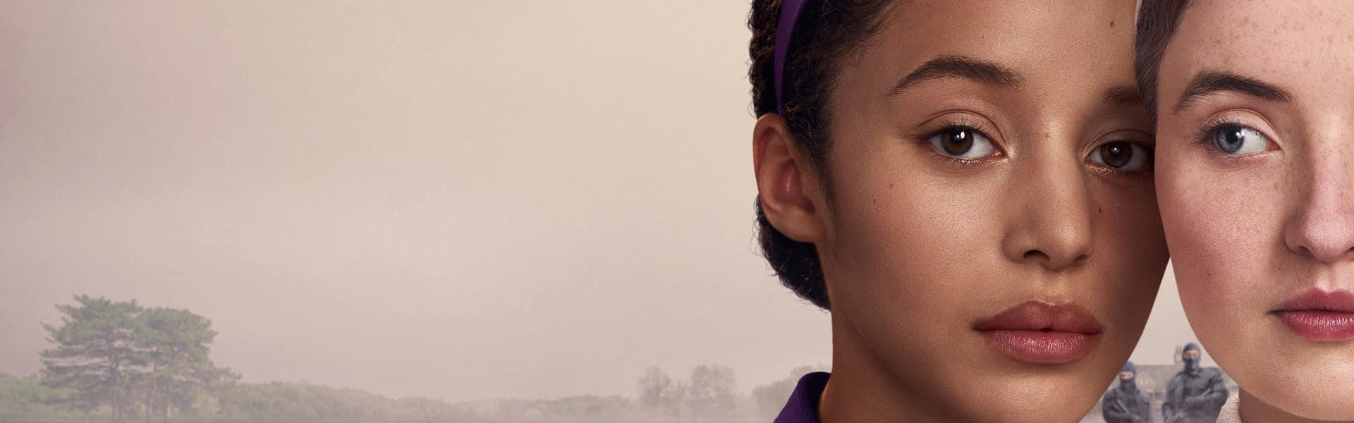 image of The Testaments